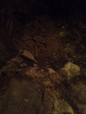 Musei nazionali di Matera - Sede Ridola by null