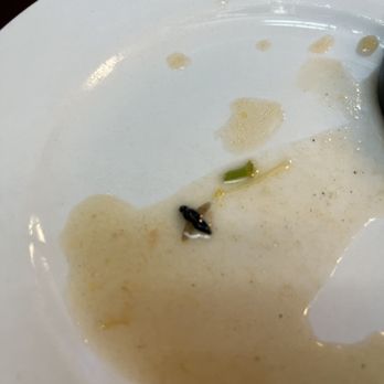 Xian Kitchen - A fly in my soup - Chinese Near Me - Milpitas, California