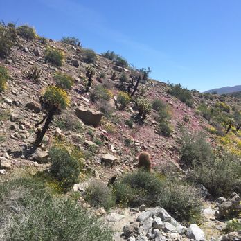 Tamarisk Grove Campground - Campgrounds Near Me - Julian, California