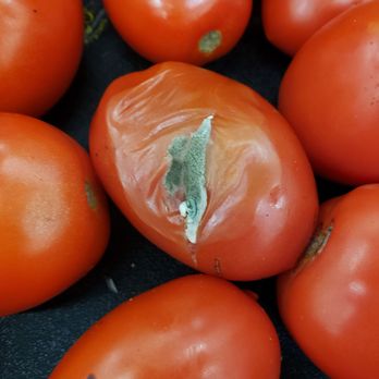 Smart & Final Extra! - a bunch of tomatoes - Grocery Near Me - Murrieta, California