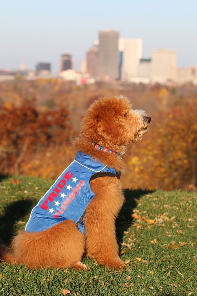 Slide of Pride Plumbing Services