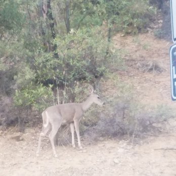 Madera Canyon - Public Services & Government Near Me