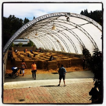 Remlinger Farms - Pumpkin Patches Near Me - Carnation, Washington Remlinger Farms - Pumpkin Patches Near Me - Carnation, Washington