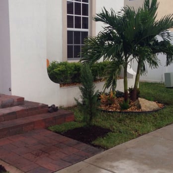 Tree Finders - After :) - Tree Services Near Me Tree Finders - After :) - Tree Services Near Me