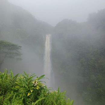 Akaka Falls State Park - Foggy Falls - Parks Near Me - Honomu, Hawaii
