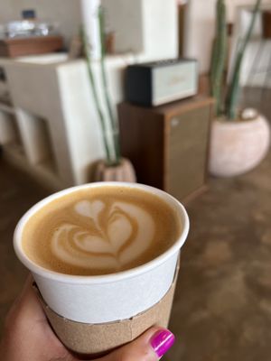 Palomino Coffee by null