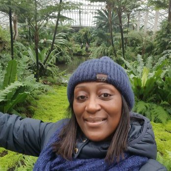 Garfield Park Conservatory - Parks Near Me - Chicago, Illinois
