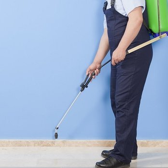 Extermination Montreal Max - Pest Control Services in Montreal - Pest Control Near Me - Montreal, Quebec Extermination Montreal Max - Pest Control Services in Montreal - Pest Control Near Me - Montreal, Quebec