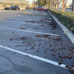 Longview Landscape - Parking lot and Landscape maintenance