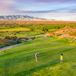 Palms Golf Course - Palms Golf Course in Mesquite, Nevada