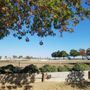 Photo of Gold Country Equestrian Center