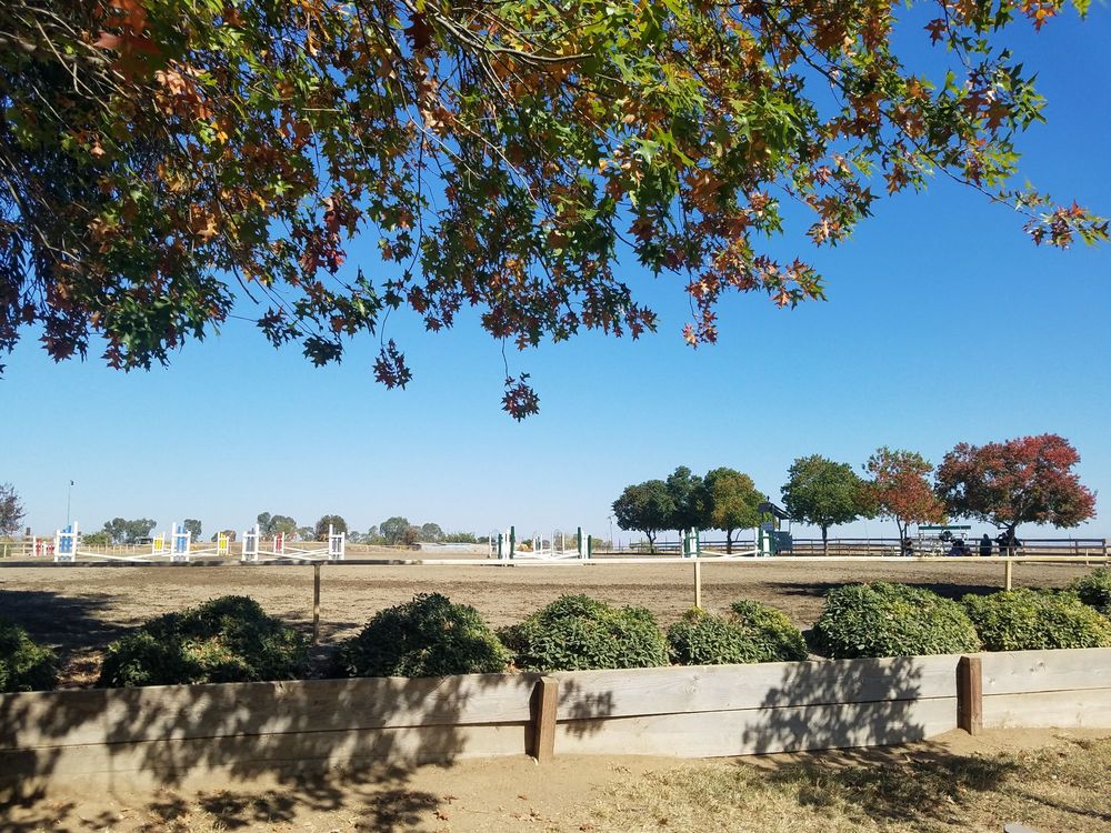 Gold Country Equestrian Center Logo