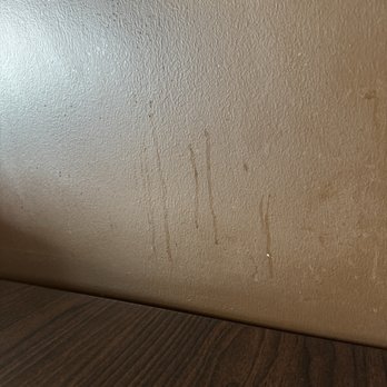 Bay Fusion - Splatters on the wall. - Vietnamese Near Me - Spring, Texas Bay Fusion - Splatters on the wall. - Vietnamese Near Me - Spring, Texas