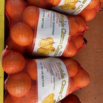 Florida Citrus Center -  oranges on display - Convenience Stores Near Me - Yulee, Florida