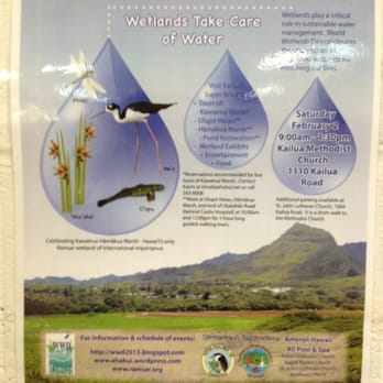 Hamakua Marsh - Ramsar World Wetlands Day Sat 2/2 - Landmarks & Historical Buildings Near Me