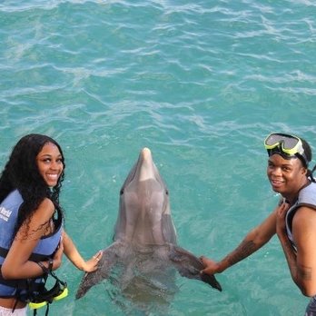 Coral World Ocean Park - Aquariums Near Me - St Thomas, Virgin Islands Coral World Ocean Park - Aquariums Near Me - St Thomas, Virgin Islands