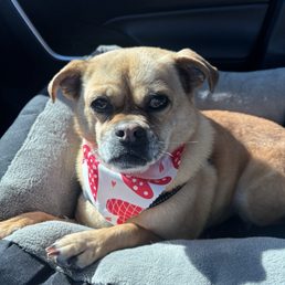 Fresh nail trim and bath