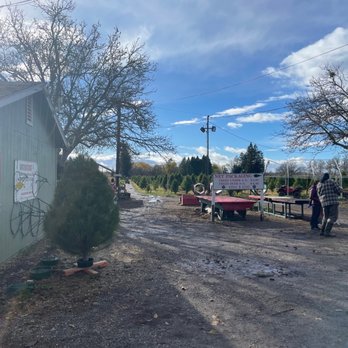 Silveyville Christmas Tree Farm - Christmas Trees Near Me - Dixon, California Silveyville Christmas Tree Farm - Christmas Trees Near Me - Dixon, California