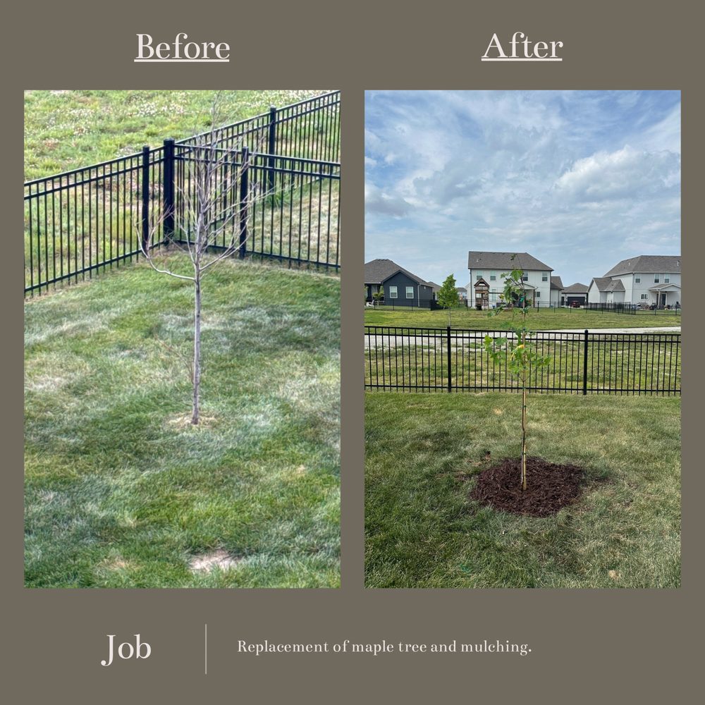 Urban Oasis - veterans service organization in Kansas City, MO