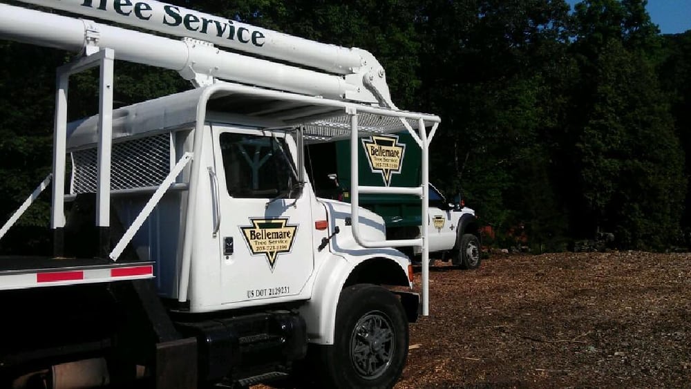 Bellemare Tree Service - tree service in Naugatuck, CT