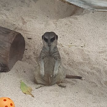 Honolulu Zoo - Zoos Near Me - Honolulu, Hawaii