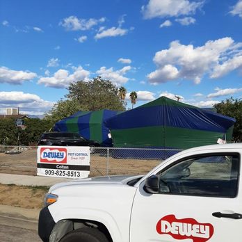 Dewey Pest Control - Dewey Pest & Termite Control Fumigation with the Colton office. - Pest Control Near Me - Colton, California