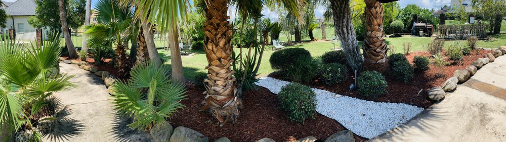 Slide of Structure Ace