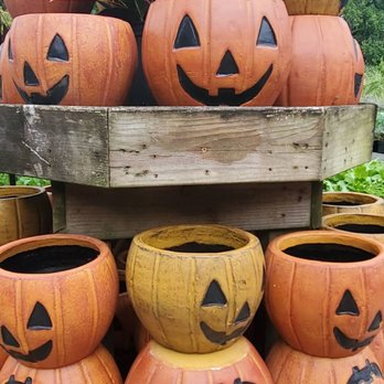 Garden Supply Company - Nurseries & Gardening Near Me - Cary, North Carolina