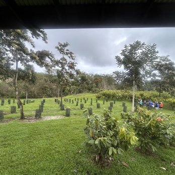 Honolii Orchards - Food Tours Near Me - Hilo, Hawaii Honolii Orchards - Food Tours Near Me - Hilo, Hawaii