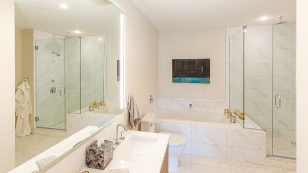 St Paul Collection by null