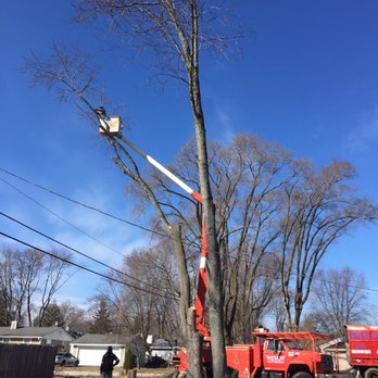 Mac's Tree Service - Tree Services Near Me - Woodstock, Illinois