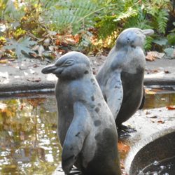 Pinguinbrunnen im Stadtpark