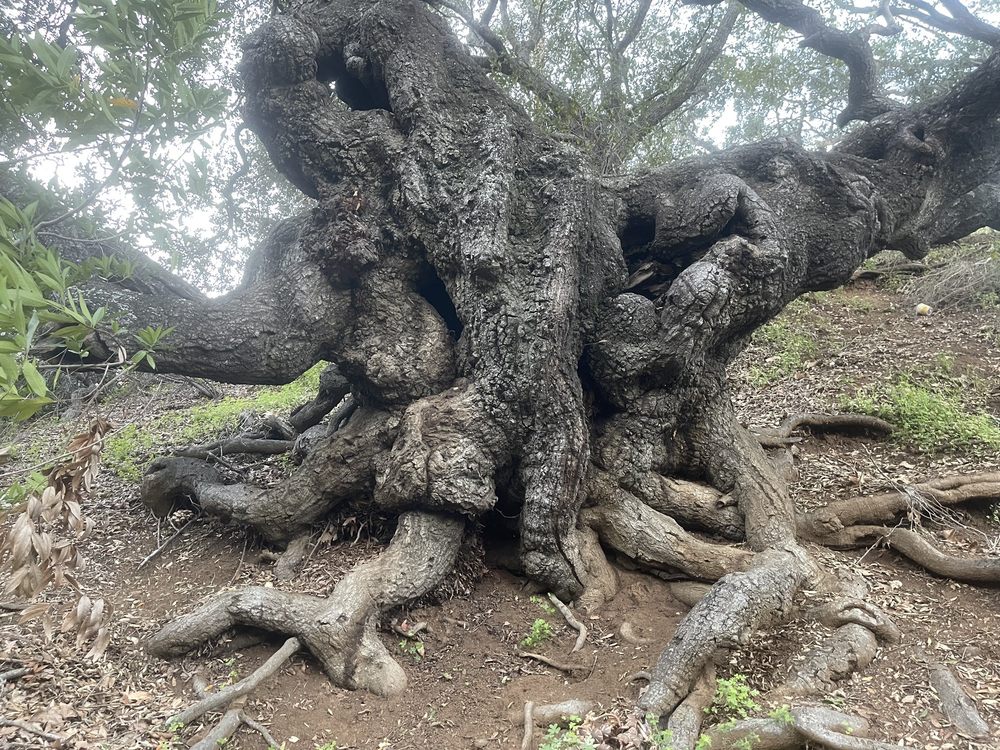 Social spots from Cuesta Canyon County Park