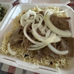 Gyro Plate
