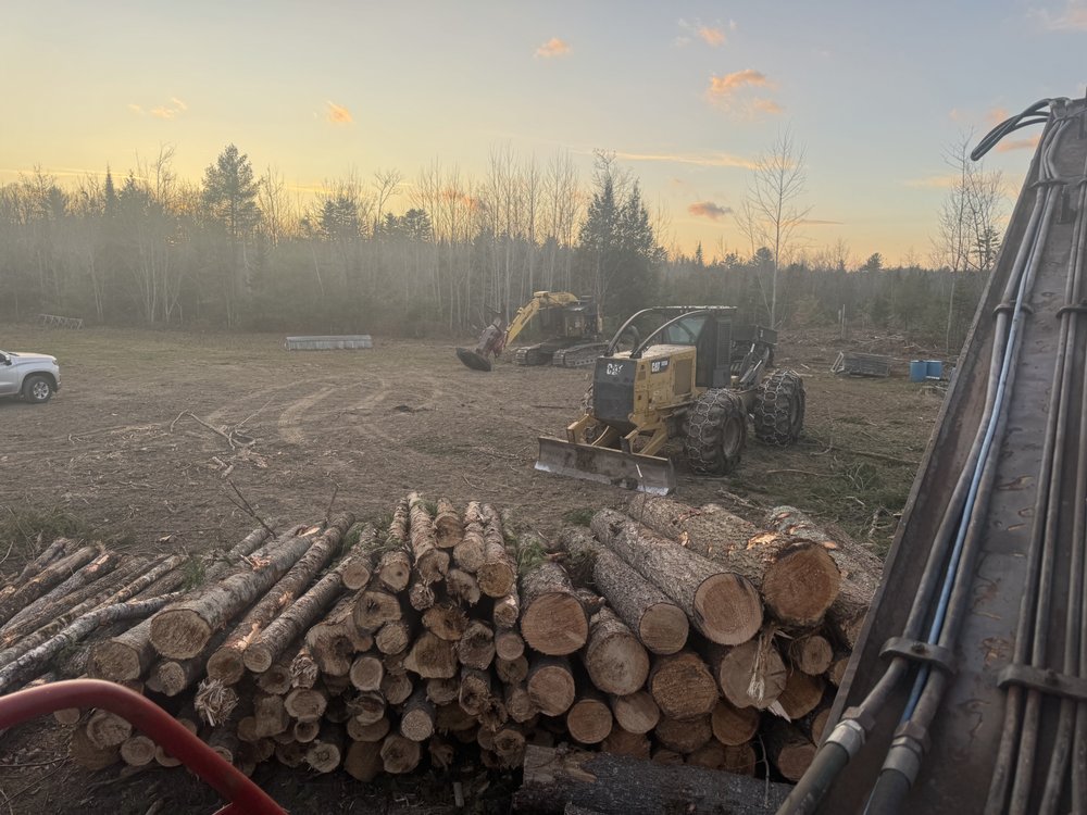 Downers Logging - tree service in Montville, ME