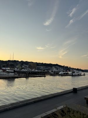 The Cove by null