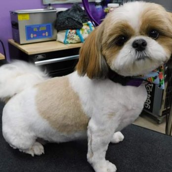 Ohana Pets Spa - Miss Lexi - Pet Groomers Near Me - Angier, North Carolina Ohana Pets Spa - Miss Lexi - Pet Groomers Near Me - Angier, North Carolina