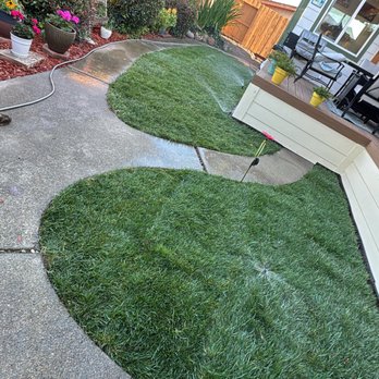 Grass Guys - Looks nice and Green Day after ! - Landscaping Near Me