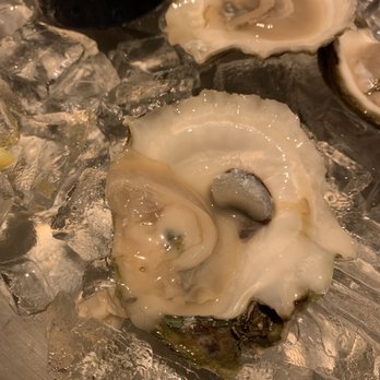 Red Lobster - Oysters if you want to call them that. - Seafood Near Me - Denton, Texas Red Lobster - Oysters if you want to call them that. - Seafood Near Me - Denton, Texas