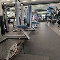 Curl Fitness