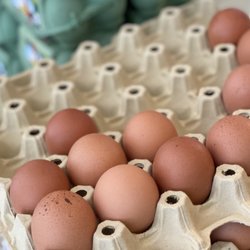 Käse-Ecke - ob BIO- oder Freiland. Eier kaufen soll Spaß machen!