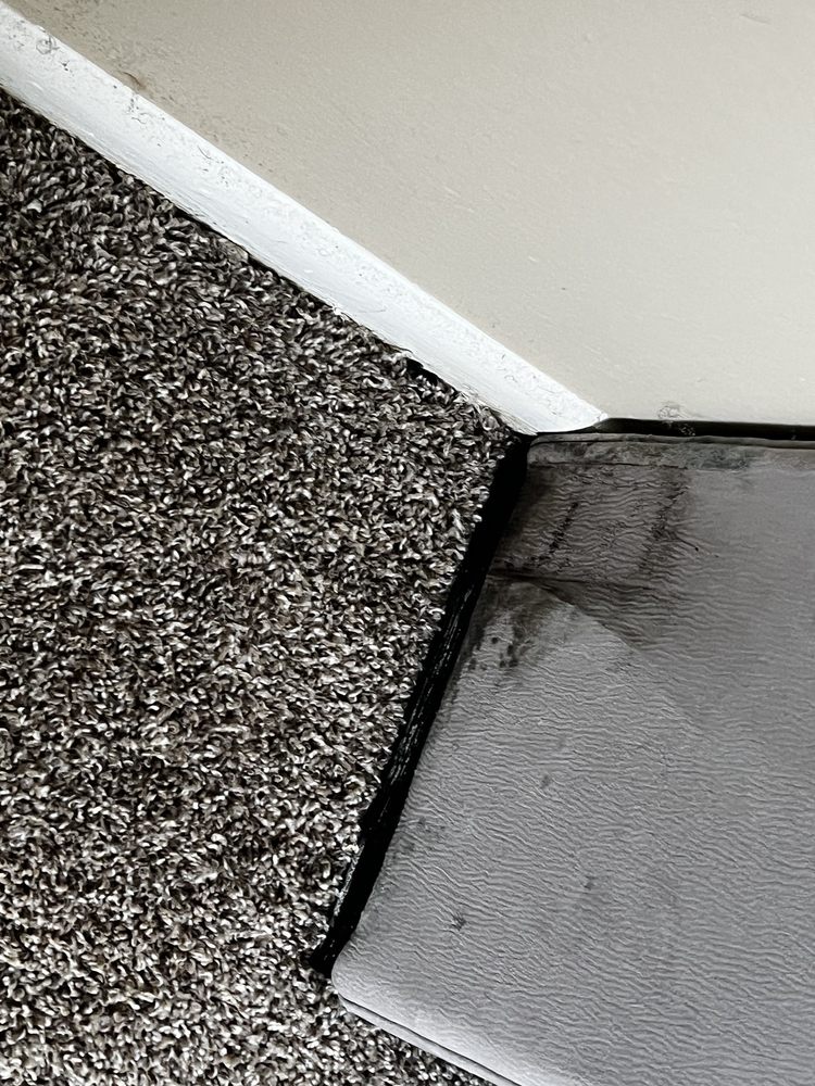 ADVENIR AT MAGNOLIA Updated August 2024 13 Reviews 210