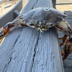 Hammonasset Beach State Park