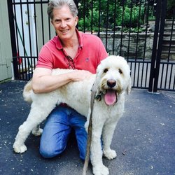 Lafayette Hill Dog Resort and Training Center