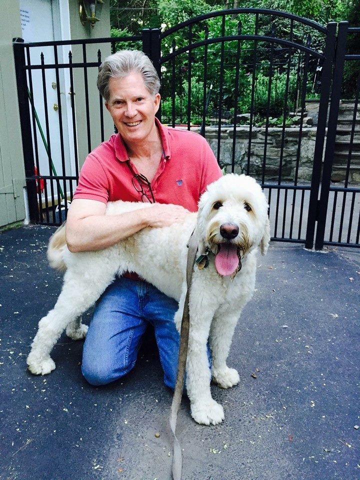 Lafayette Hill Dog Resort and Training Center - pet boarding facility in Lafayette Hill, PA