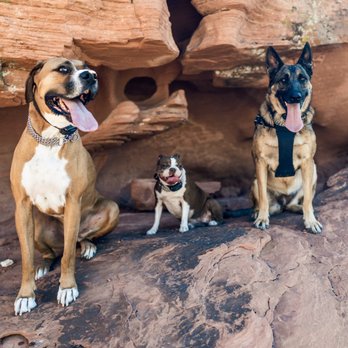 Paws 'n' Rec - Jones - our pups, off leash, out on a hike. - Pet Training Near Me - Las Vegas, Nevada