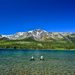 Sierra Nevada