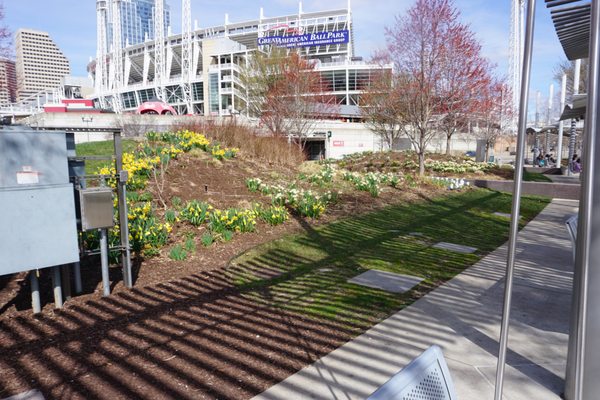 Smale Riverfront Park by null