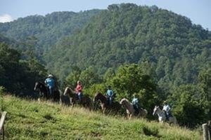 Blount Partnership - social services organization in Maryville, TN