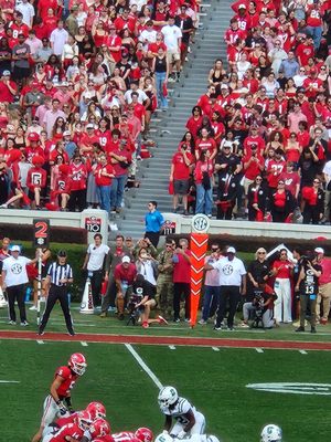 Sanford Stadium by null